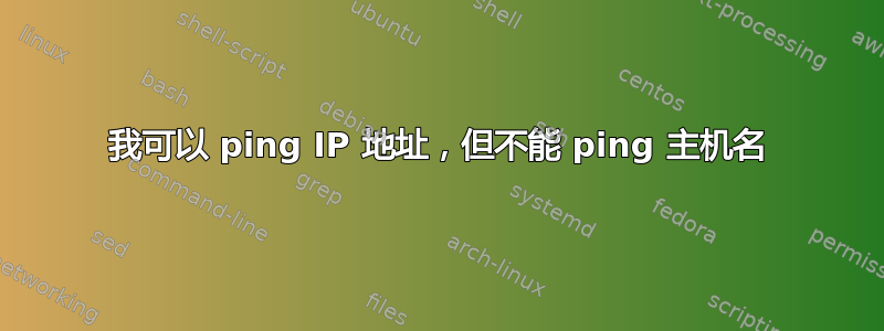 我可以 ping IP 地址，但不能 ping 主机名