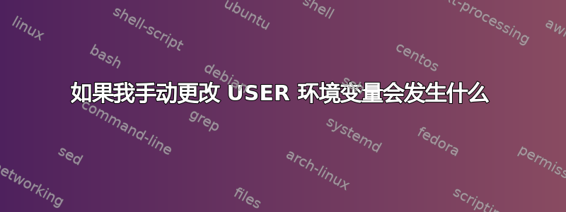 如果我手动更改 USER 环境变量会发生什么