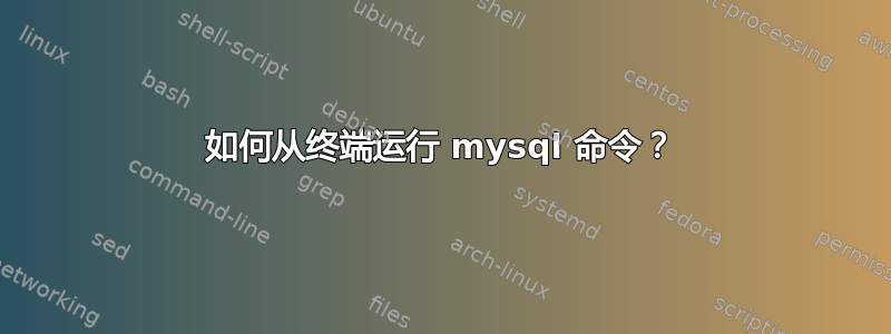 如何从终端运行 mysql 命令？