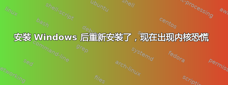 安装 Windows 后重新安装了，现在出现内核恐慌 