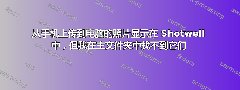 从手机上传到电脑的照片显示在 Shotwell 中，但我在主文件夹中找不到它们