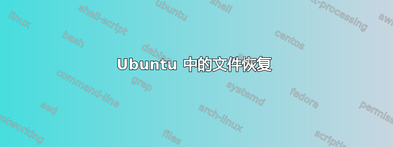 Ubuntu 中的文件恢复