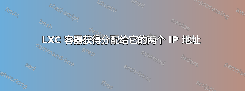 LXC 容器获得分配给它的两个 IP 地址