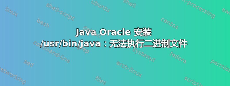 Java Oracle 安装 /usr/bin/java：无法执行二进制文件