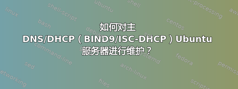 如何对主 DNS/DHCP（BIND9/ISC-DHCP）Ubuntu 服务器进行维护？