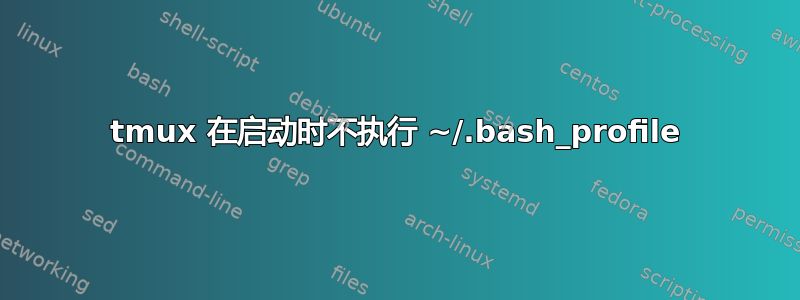 tmux 在启动时不执行 ~/.bash_profile