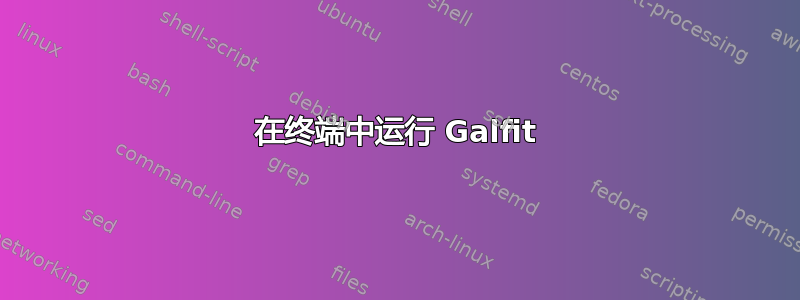 在终端中运行 Galfit