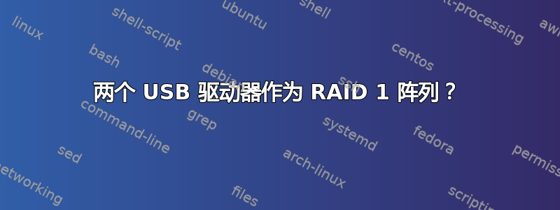 两个 USB 驱动器作为 RAID 1 阵列？