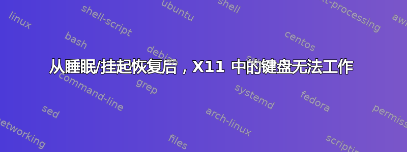 从睡眠/挂起恢复后，X11 中的键盘无法工作