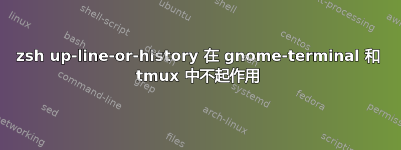 zsh up-line-or-history 在 gnome-terminal 和 tmux 中不起作用