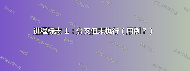 进程标志 1：分叉但未执行（用例？）