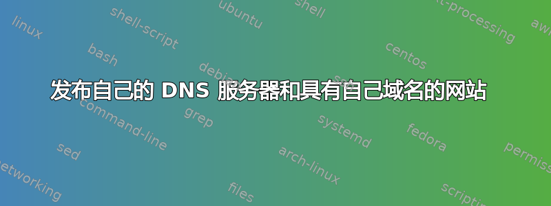 发布自己的 DNS 服务器和具有自己域名的网站 