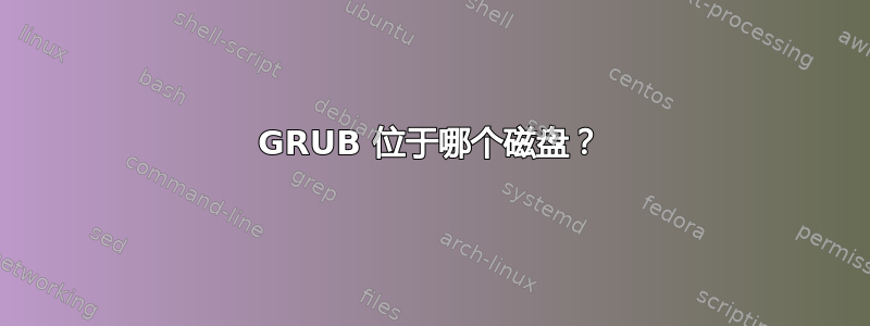 GRUB 位于哪个磁盘？