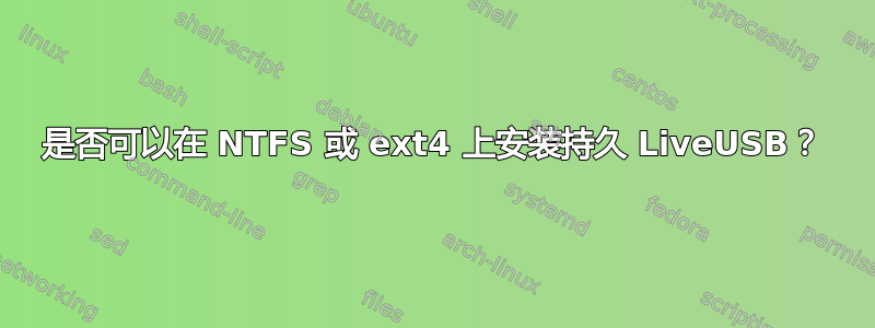 是否可以在 NTFS 或 ext4 上安装持久 LiveUSB？