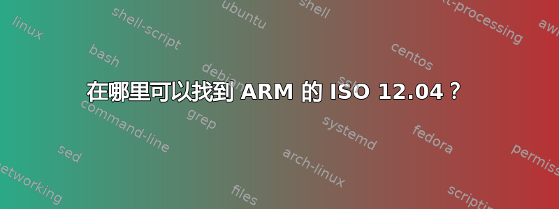 在哪里可以找到 ARM 的 ISO 12.04？