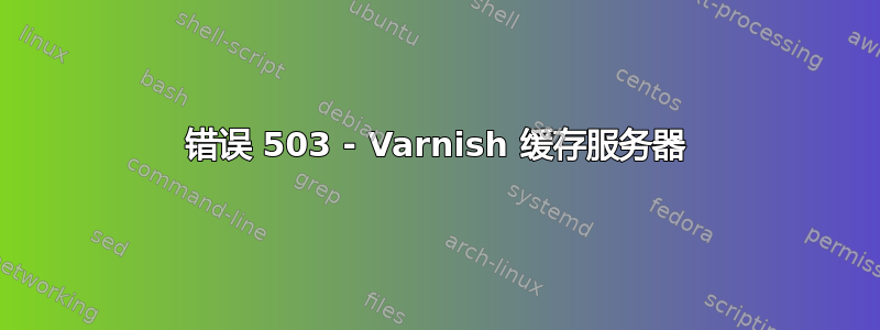 错误 503 - Varnish 缓存服务器