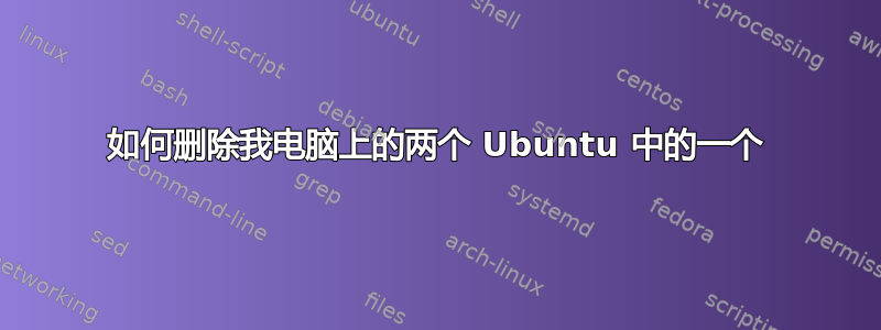 如何删除我电脑上的两个 Ubuntu 中的一个