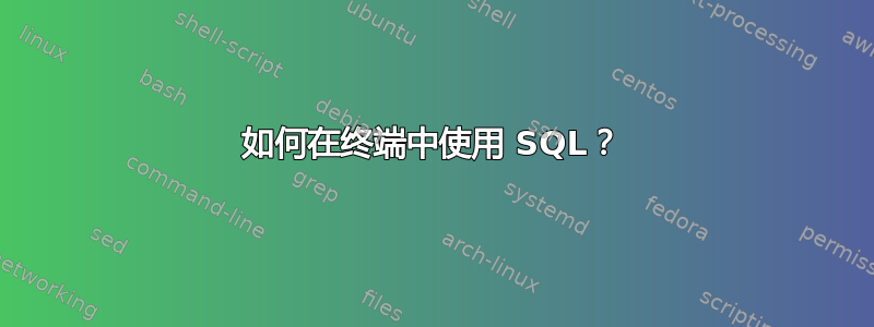 如何在终端中使用 SQL？