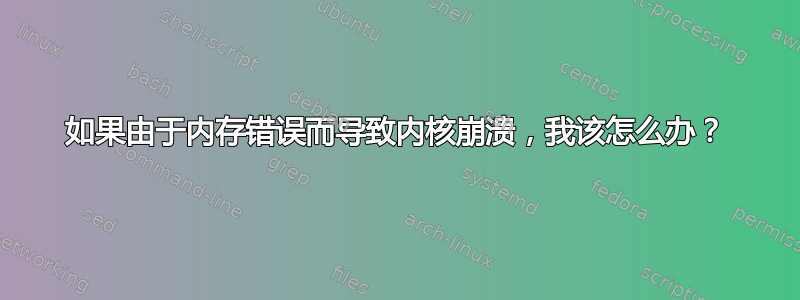 如果由于内存错误而导致内核崩溃，我该怎么办？