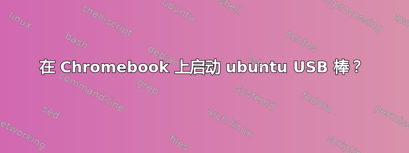 在 Chromebook 上启动 ubuntu USB 棒？