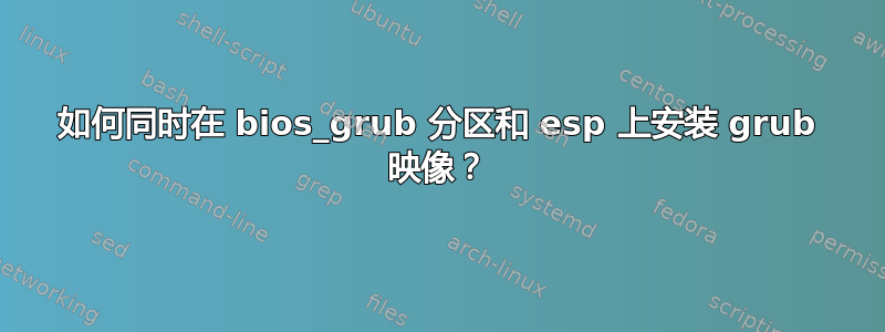 如何同时在 bios_grub 分区和 esp 上安装 grub 映像？