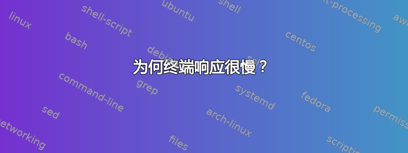 为何终端响应很慢？