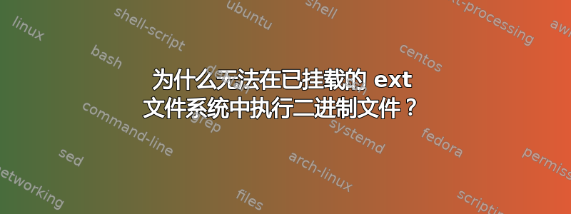 为什么无法在已挂载的 ext 文件系统中执行二进制文件？