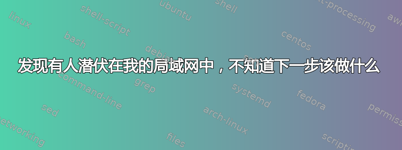 发现有人潜伏在我的局域网中，不知道下一步该做什么