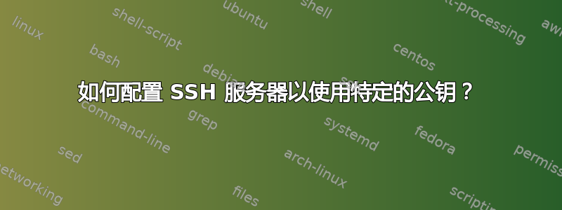 如何配置 SSH 服务器以使用特定的公钥？