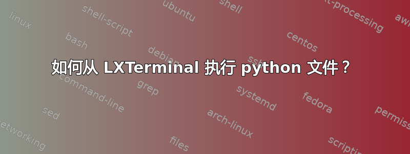 如何从 LXTerminal 执行 python 文件？