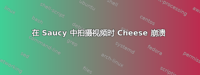 在 Saucy 中拍摄视频时 Cheese 崩溃