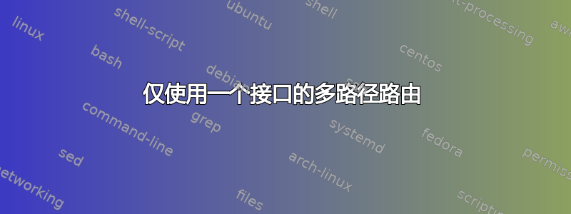 仅使用一个接口的多路径路由