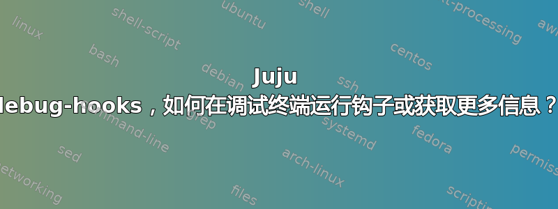 Juju debug-hooks，如何在调试终端运行钩子或获取更多信息？