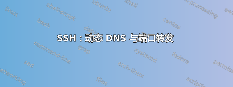 SSH：动态 DNS 与端口转发