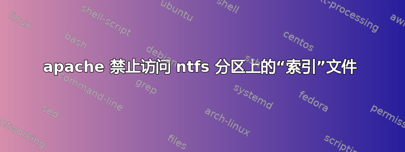 apache 禁止访问 ntfs 分区上的“索引”文件