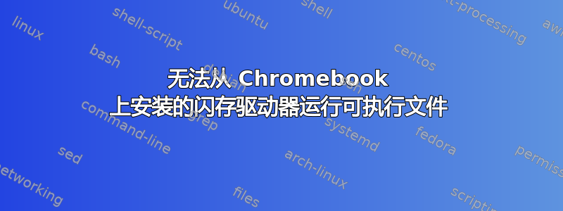 无法从 Chromebook 上安装的闪存驱动器运行可执行文件