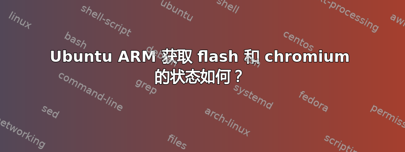 Ubuntu ARM 获取 flash 和 chromium 的状态如何？