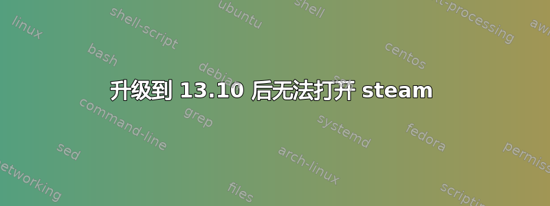 升级到 13.10 后无法打开 steam