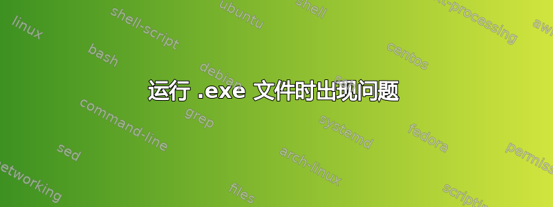 运行 .exe 文件时出现问题