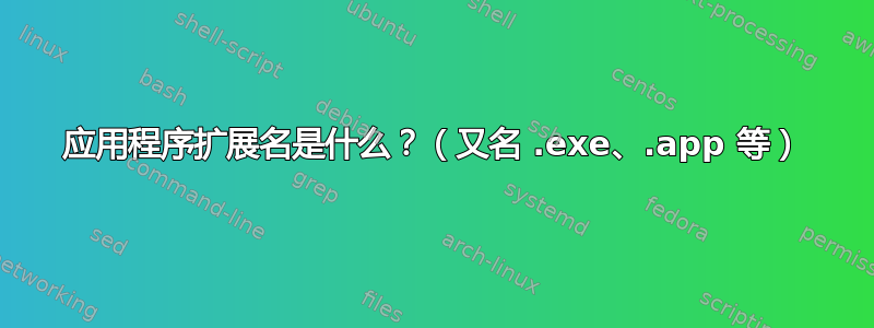 应用程序扩展名是什么？（又名 .exe、.app 等）