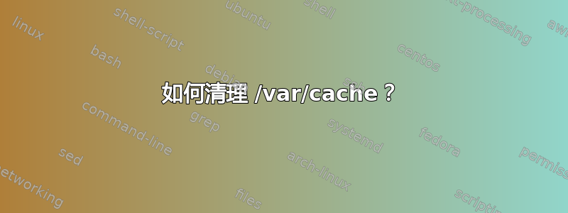 如何清理 /var/cache？