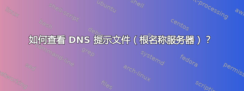 如何查看 DNS 提示文件（根名称服务器）？