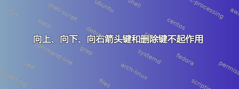 向上、向下、向右箭头键和删除键不起作用