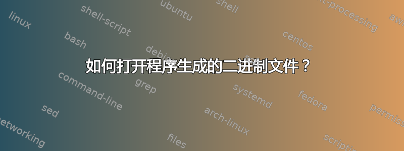 如何打开程序生成的二进制文件？