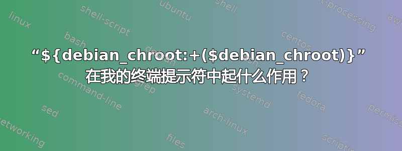 “${debian_chroot:+($debian_chroot)}” 在我的终端提示符中起什么作用？