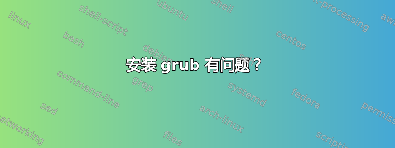 安装 grub 有问题？