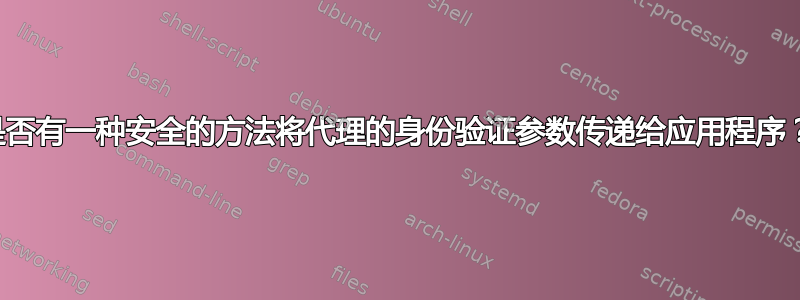 是否有一种安全的方法将代理的身份验证参数传递给应用程序？