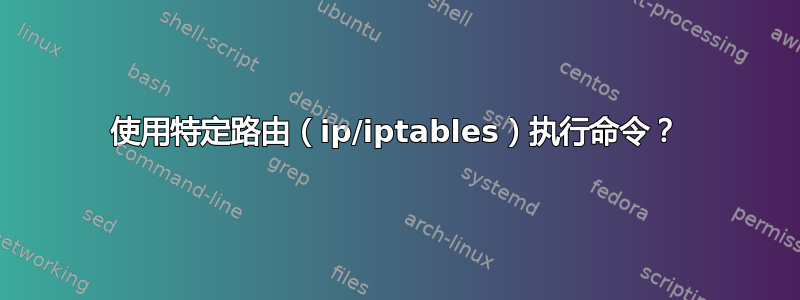 使用特定路由（ip/iptables）执行命令？