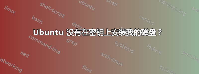 Ubuntu 没有在密钥上安装我的磁盘？