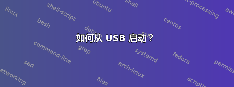 如何从 USB 启动？